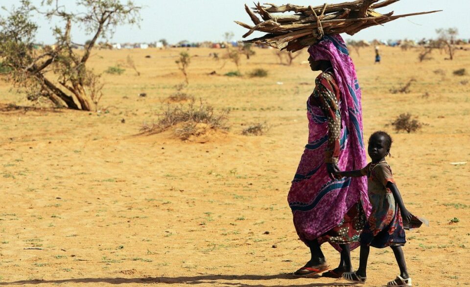 Mulher e criança africana passam com madeira debaixo de um forte sol