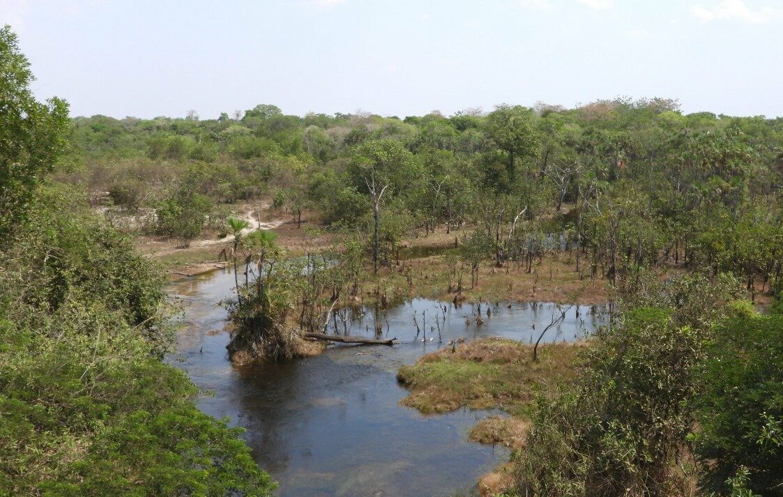 Polícia investiga extinção de afluentes do rio Araguaia; 20 córregos podem ter secado