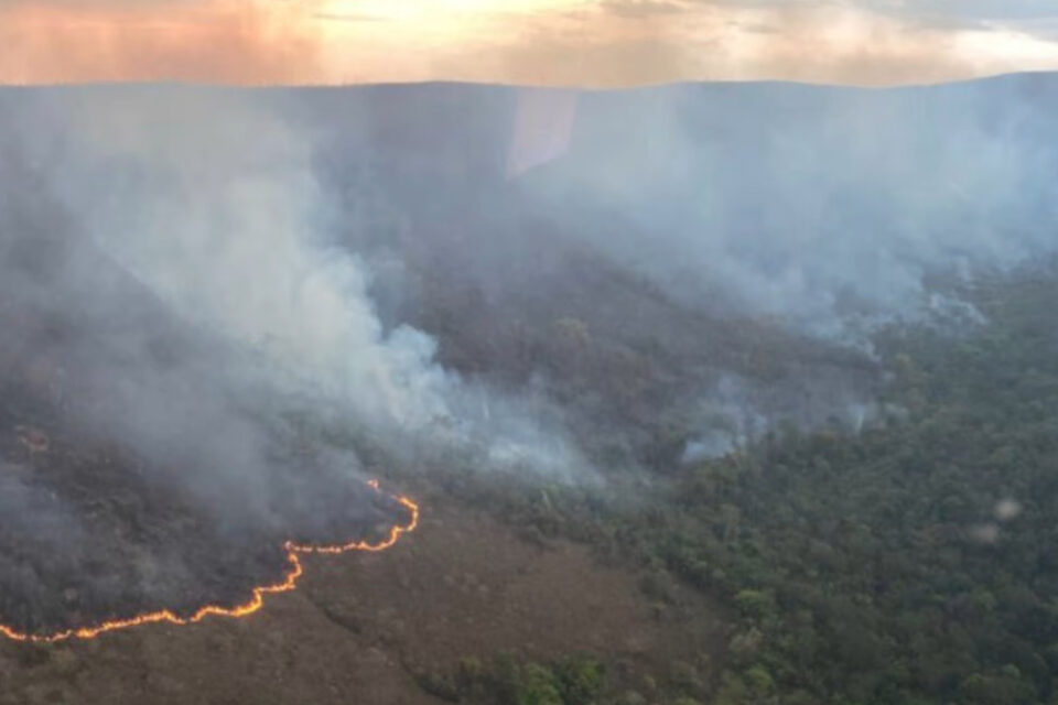 Polícia indicia 4 pessoas por incêndio criminoso de 12 dias na Chapada dos Veadeiros