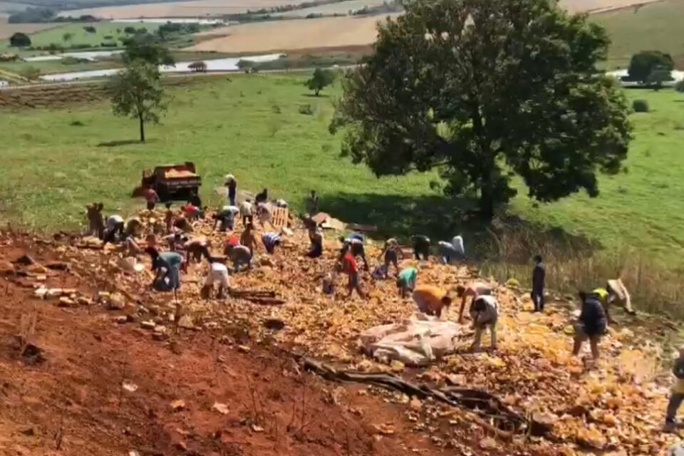Caminhão com carga de cerveja tomba na GO-309 e pessoas saqueiam mercadoria; vídeo