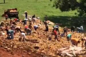 Caminhão com carga de cerveja tomba na GO-309 e pessoas saqueiam mercadoria; vídeo