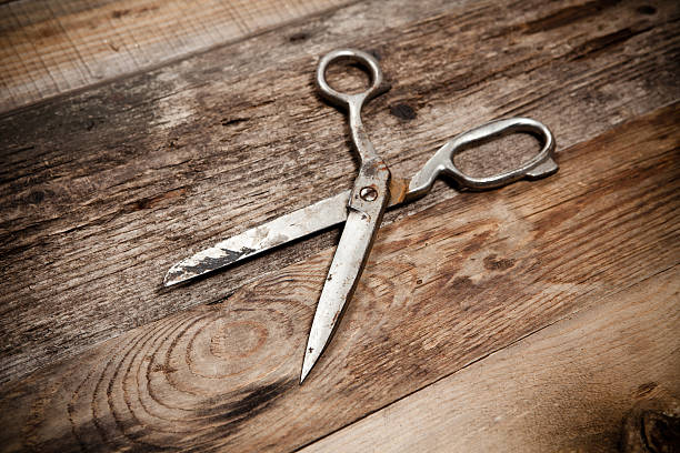 Esposa é presa acusada de matar o matar o marido a tesouradas para se defender de agressões, em Planaltina de Goiás (Foto: Reprodução/ Pixabay)