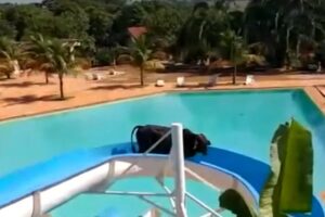 Vaca ficou presa após descer em toboágua