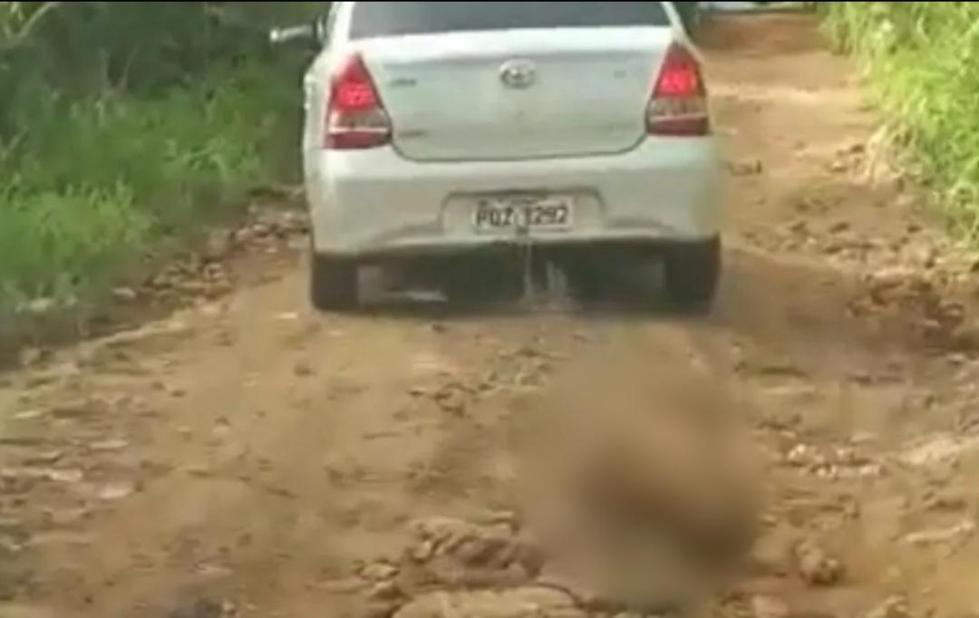 Motorista que arrastou cão em uma estrada de terra é preso em Jaraguá (Foto: Reprodução/Vídeo)