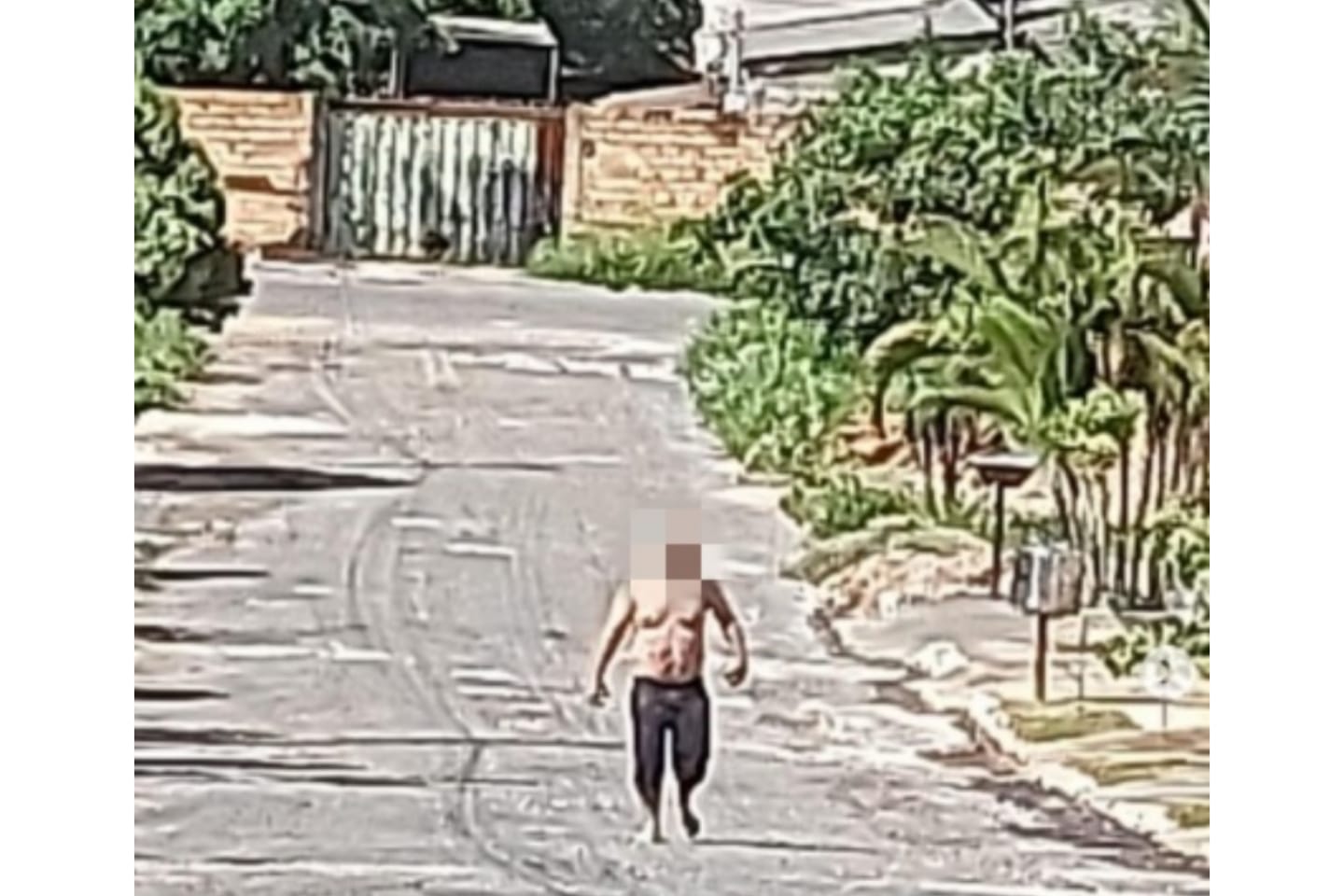 Homem mata a irmã, a tia e fere vizinho a facadas em Senador Canedo