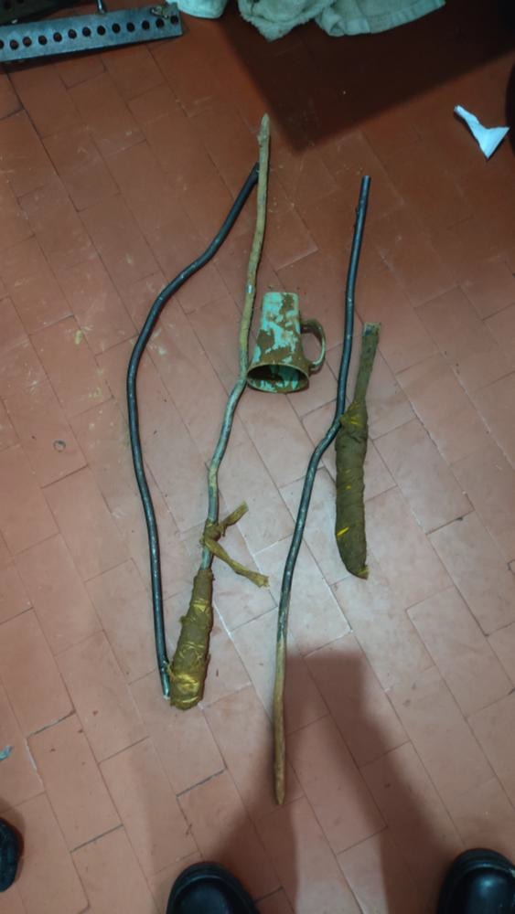 Foto: DGAP - Divulgação