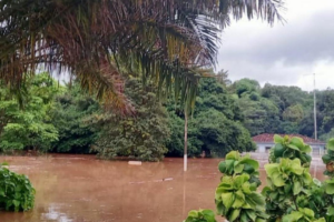 Nível de rios supera cotas de inundação em trechos de três estados