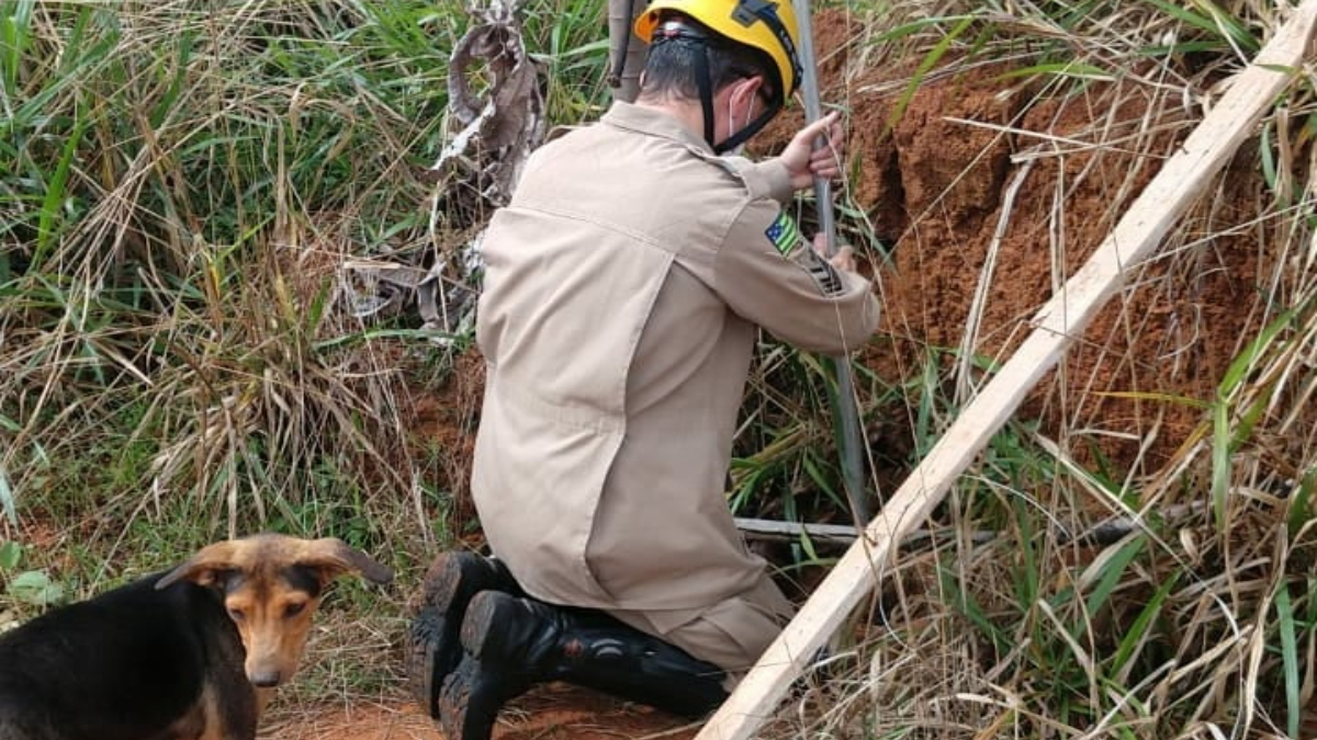 Bombeiros resgatam filhotes de cachorro em buraco de construção de Catalão
