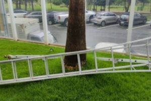 Trabalhador morre após levar choque e cair de escada enquanto limpava prédio em Goiânia