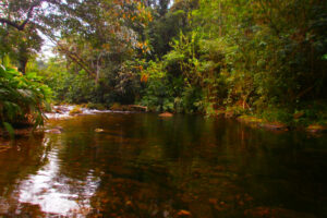 Mãe esfaqueia e joga criança de três anos ainda viva em rio no RJ (Foto: Divulgação)