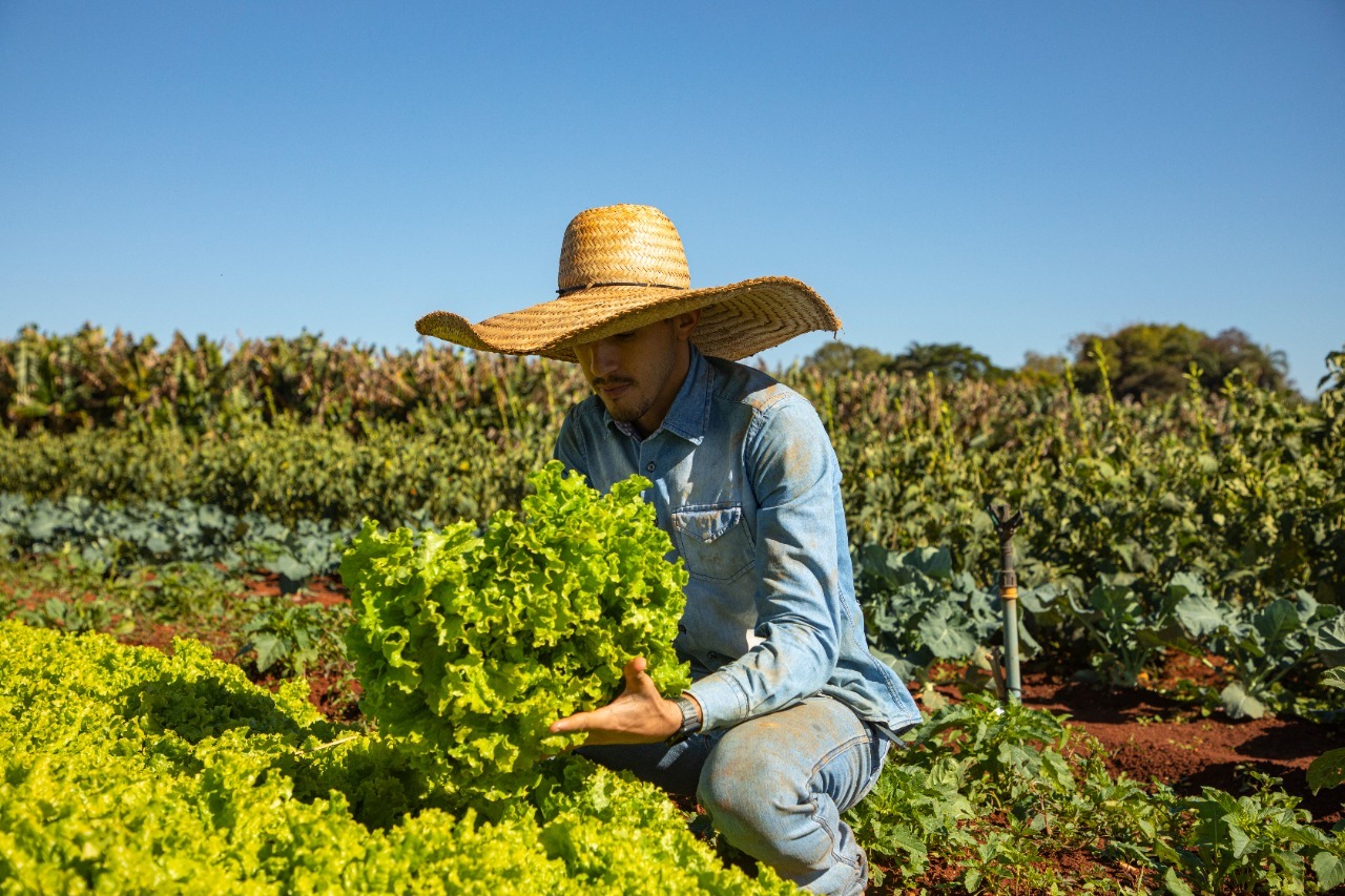 Curso é destinado aos feirantes, produtores rurais e comerciantes do município. (Foto: Divulgação)