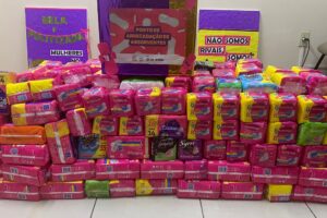 Absorventes arrecadados em campanha da Câmara Municipal