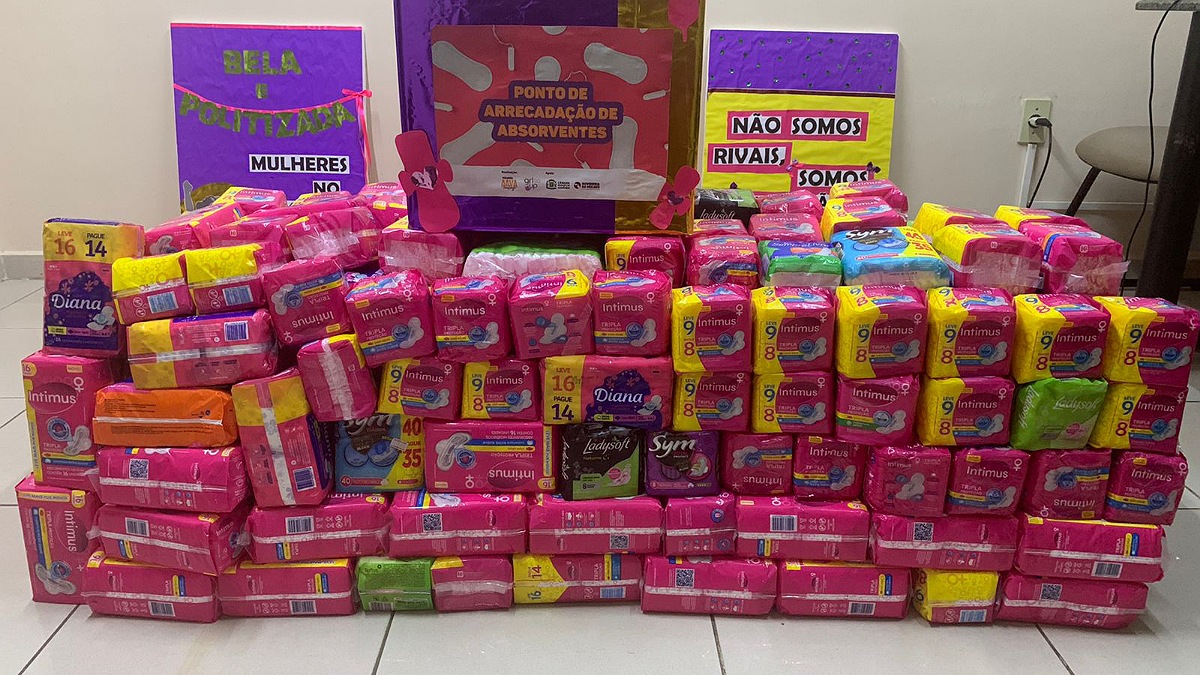 Absorventes arrecadados em campanha da Câmara Municipal