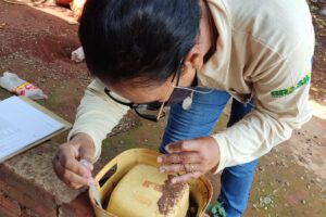 Agente do centro de endemias colhe material de reservatório. (Foto: Divulgação)