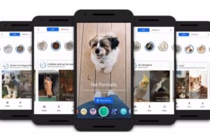 Saiba como funciona o Pet Portraits. Google lança recurso para descobrir ‘sósias’ do seu pet em obras de arte animal cachorro gato