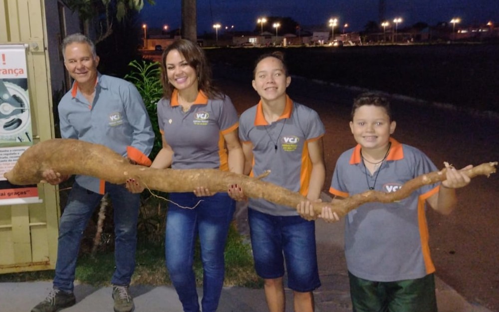 Família vai doar mandioca gigante para projeto que distribui marmitas para população em situação de rua (Foto: Arquivo pessoal)