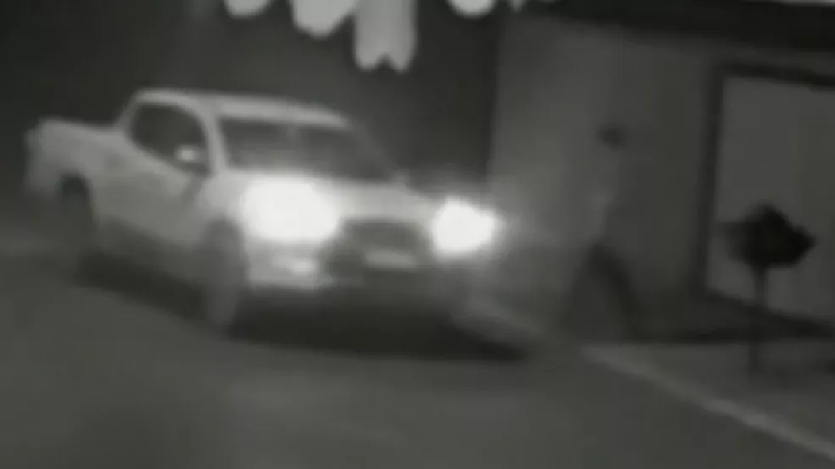 Adolescente está desaparecido há 11 dias após entrar em caminhonete em Palmeiras de Goiás