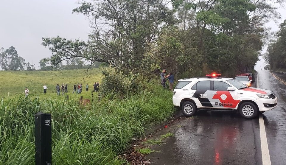 Mulher que desapareceu após sair com carro da empresa é achada morta e seminua