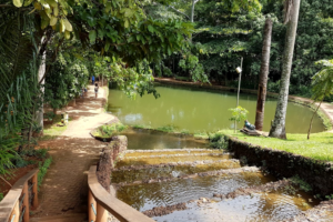 Bosque dos Buritis será rebatizado com o nome de Iris Rezende (Foto: Divulgação)