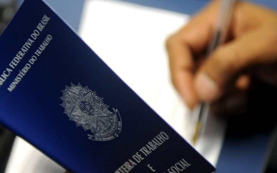 Formados no ensino superior perceberam melhora para conseguir emprego