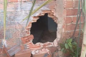 Casal escapa de incêndio fazendo buraco em muro de oficina do Parque Atheneu, em Goiânia