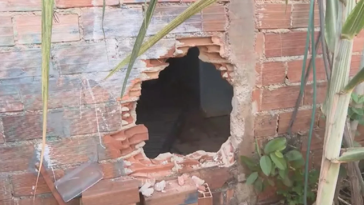 Casal escapa de incêndio fazendo buraco em muro de oficina do Parque Atheneu, em Goiânia