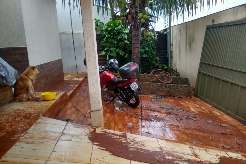 WhatsApp Image 2021-11-23 at 14.46.20