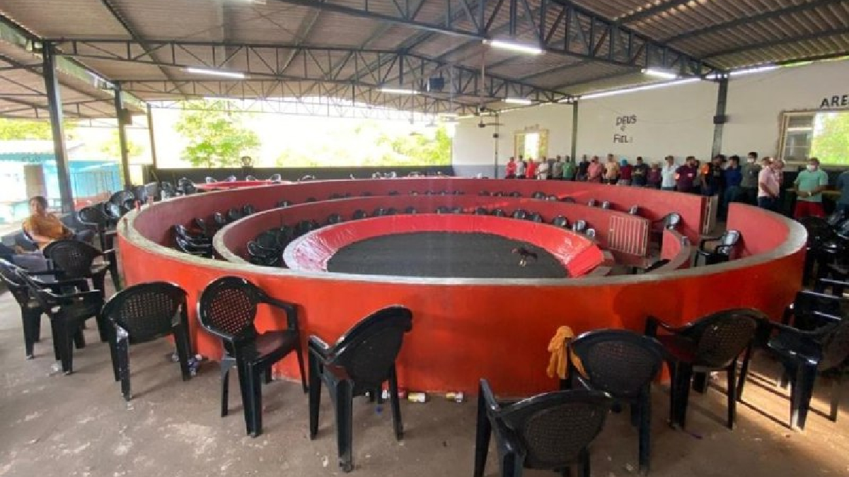 Polícia prende 60 pessoas e resgata 85 aves em rinha de galos em Bonfinópolis