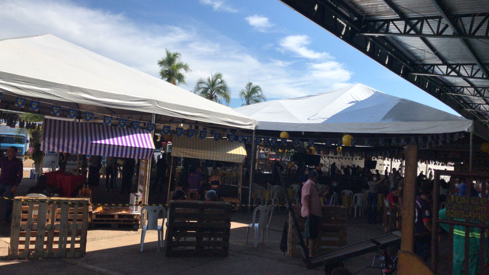 As Centrais de Abastecimento de Goiás (Ceasa-GO) realizam, nesta quinta-feira (25), a 1ª Festa do Pequi, em Goiânia. (Foto: reprodução)