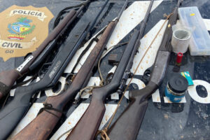 Suspeito de decapitar cães para ameaçar madrasta é preso com arma de uso restrito