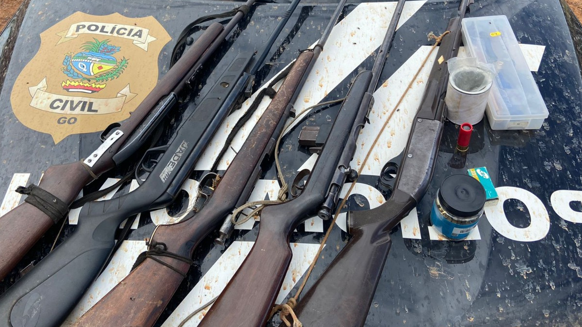 Suspeito de decapitar cães para ameaçar madrasta é preso com arma de uso restrito