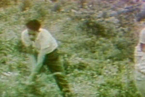 Mil casas em um só dia, e Iris ganha reconhecimento mundial