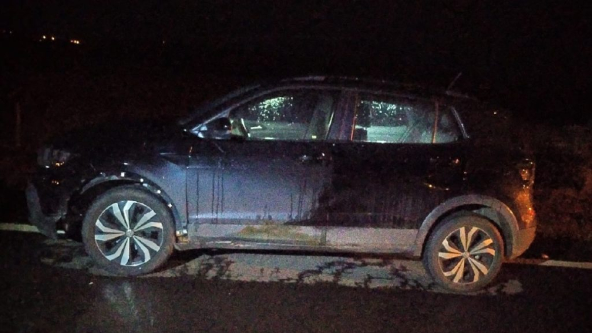 Vaca causa acidente entre três carros ao atravessar rodovia em Caldas Novas (Foto: Divulgação - Bombeiros)