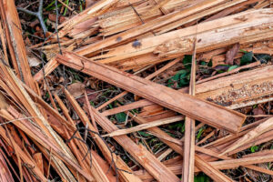 Suspeito confessa ter matado homem a pauladas por estuprar sua esposa, em Aparecida