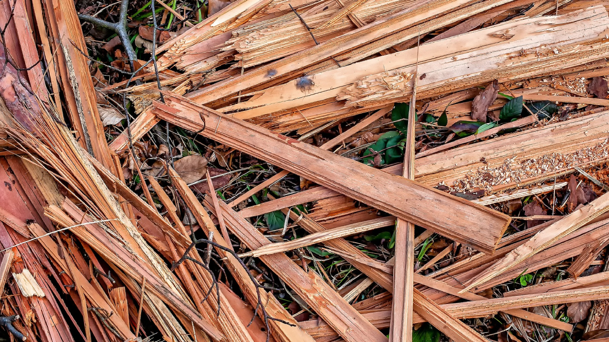 Suspeito confessa ter matado homem a pauladas por estuprar sua esposa, em Aparecida