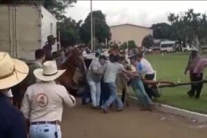 Boi se solta e causa tumulto em festa de Damolândia