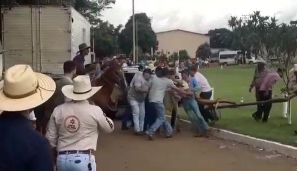 Boi se solta e causa tumulto em festa de Damolândia