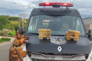 Dois homens são presos suspeitos de tráfico de drogas em Goiânia