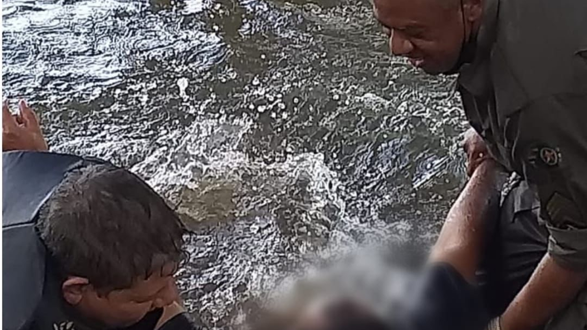 Quando os policiais chegaram, encontraram a vítima viva, agarrada à uma moite de galhos e implorando por socorro