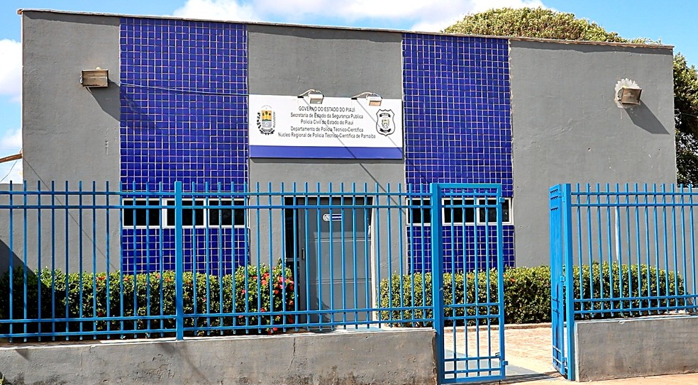 Depois de beber por quatro dias, amigos ingerem veneno por engano e morrem no Piauí