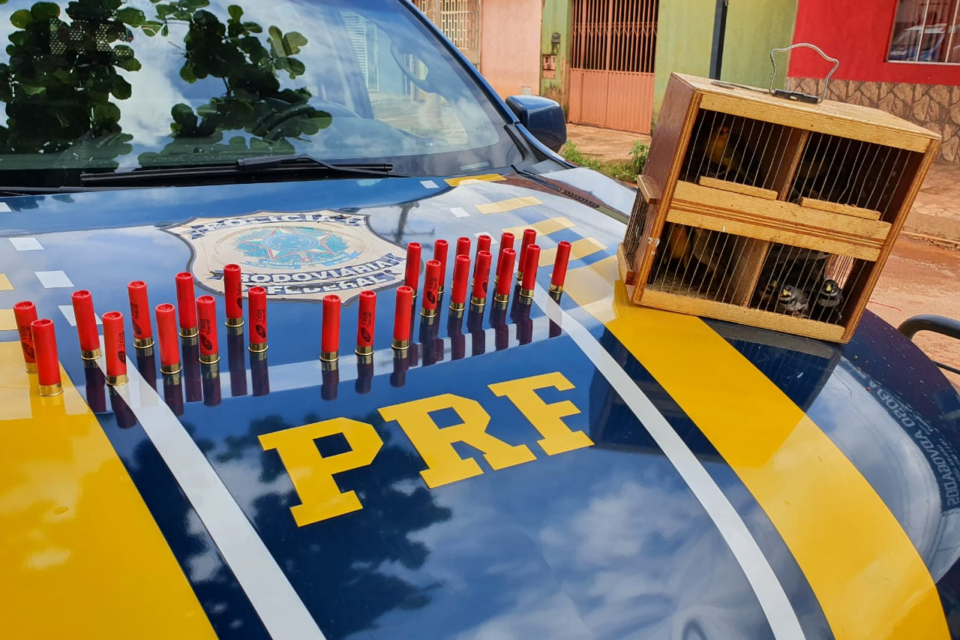 Homem é preso por transportar aves silvestres ilegalmente em Águas Lindas