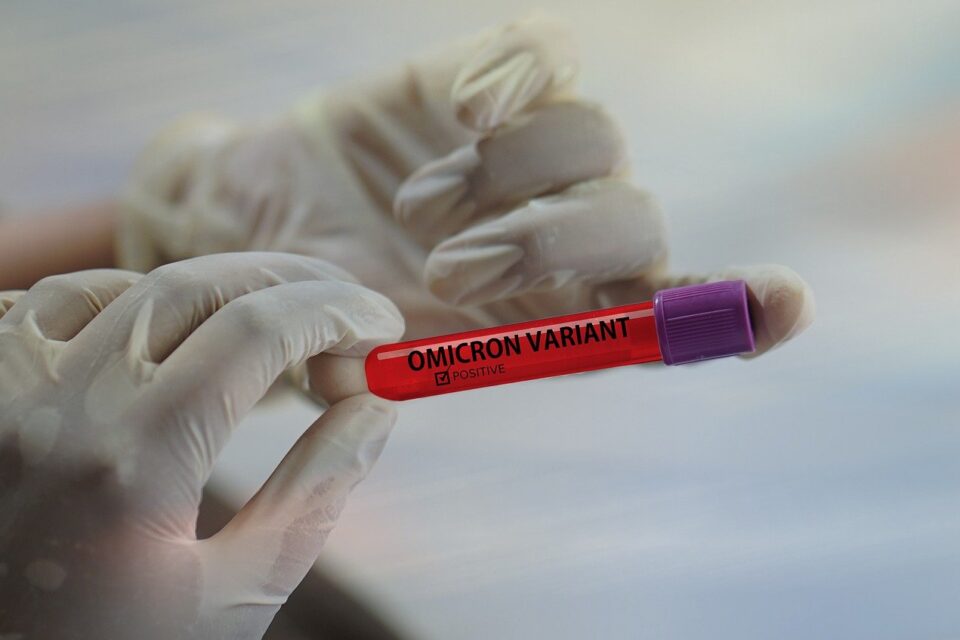 Subvariante da ômicron é 33% mais infecciosa do que 'original', diz estudo (Foto: PixaBay)