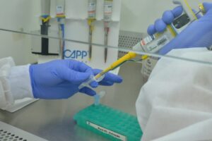 Aparecida de Goiânia está há cinco dias sem mortes por Covid-19