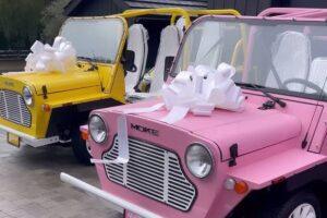 Kris Jenner presenteia membros da família com carros elétricos