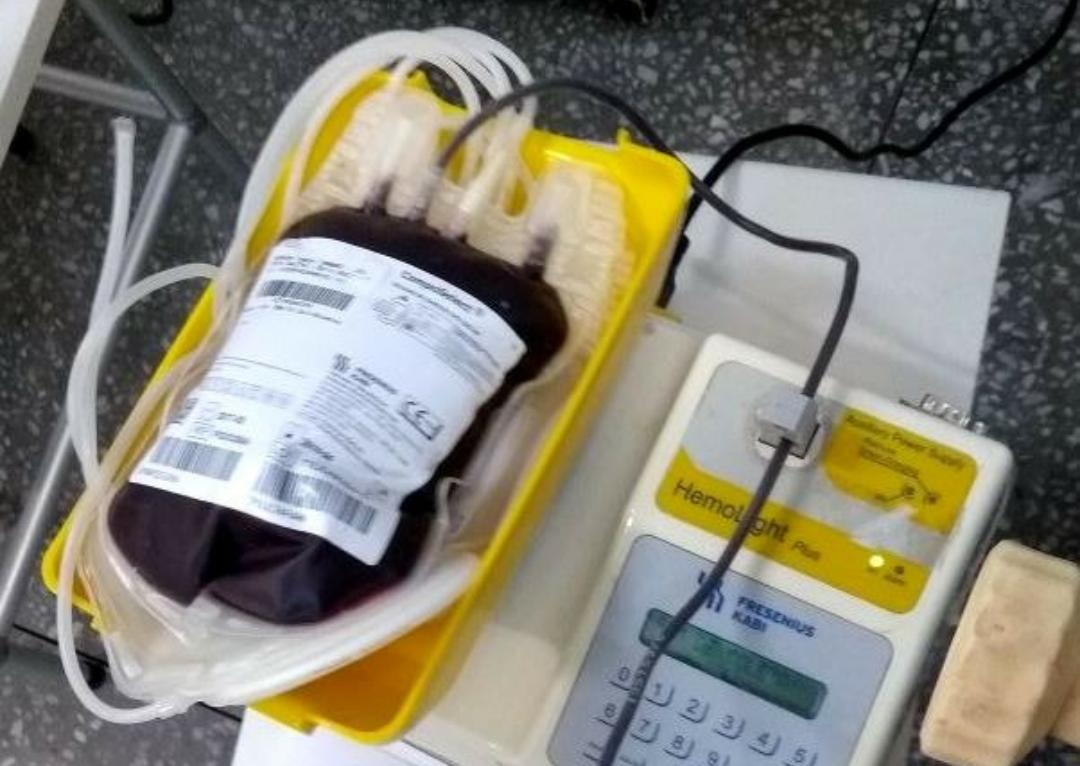 Transfusão de sangue para gêmeos recém-nascidos e filhos de Testemunhas de Jeová é autoriza pela Justiça goiana (Foto: Juliana França/ Mais Goiás)