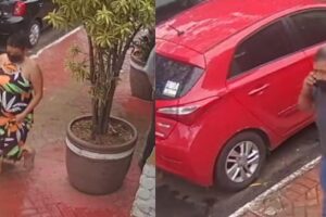 Uma mulher teve a bolsa furtada enquanto almoçava em um restaurante do Setor Bueno, em Goiânia. O prejuízo é de cerca de R$ 10 mil. (Foto: reprodução)