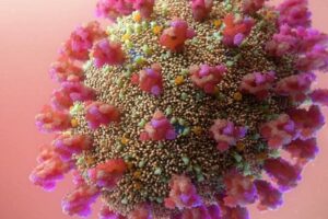 Variante ômicron carrega alta carga de mutações (Foto: Central Coast News )