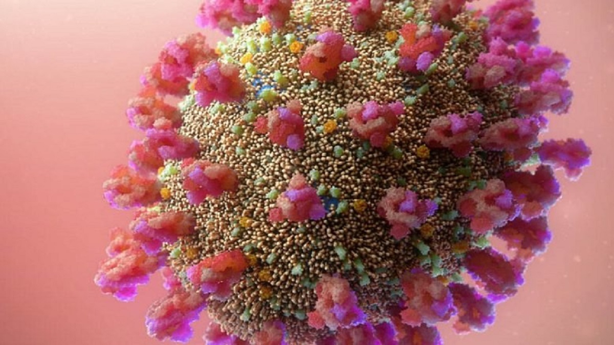 Variante ômicron carrega alta carga de mutações (Foto: Central Coast News )