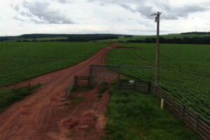 Suspeito de homicídios em Corumbá teria pedido carona em Gameleira para Goianápolis