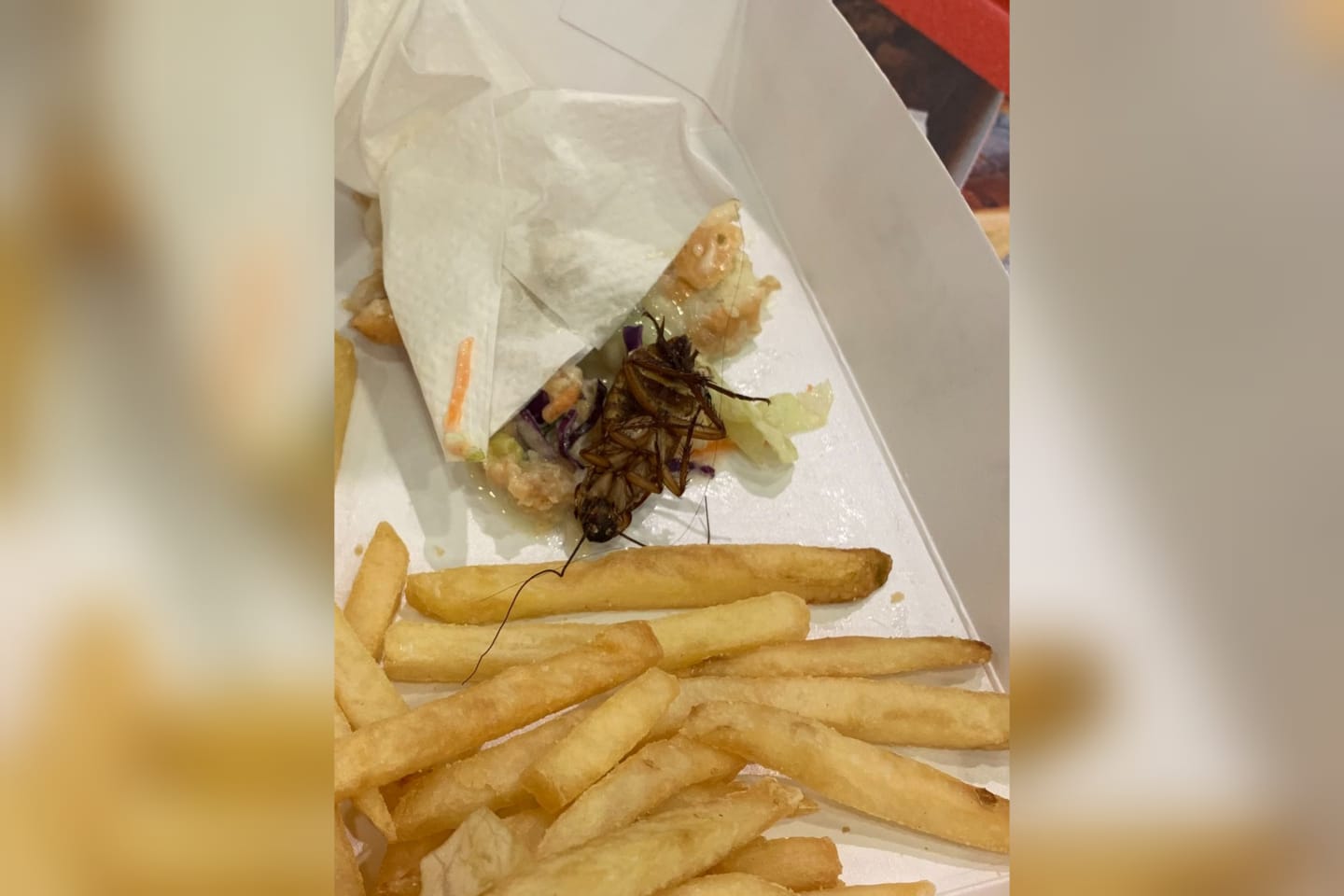 Cliente da KFC encontra barata em lanche comprado em shopping no RS